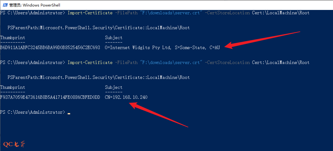 image-20250430120100404